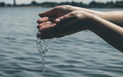 Why Water is the ‘Clear Elixir of Life.’